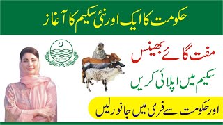 Punjab Livestock Scheme Mobile App  Livestock Punjab SPMS 9211  Govt New Scheme Punjab Livestock [upl. by Euqinemod]