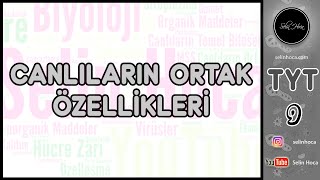 1 Canlıların Ortak Özellikleri [upl. by Cirala347]