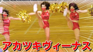 《Bリーグ チアリーダー》アカツキヴィーナス AKATSUKI VENUS 日本代表 チアダンスショー 2022 cheerleader ②《BraveTV》 [upl. by Dygall]