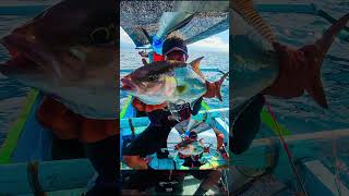 Joran Gindara 08 VS Amberjack  lightjigging relixnusantara [upl. by Barthold]