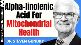 The Unexpected Health Benefits Of Alphalinolenic Acid  Dr Steven Gundry Interview Clips [upl. by Hsirap]