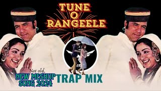 TUNE O RANGEELE X KAH DUN TUMHE MixSong OldSongDjRemix AnvikaDixit remix meshup [upl. by Cullie189]