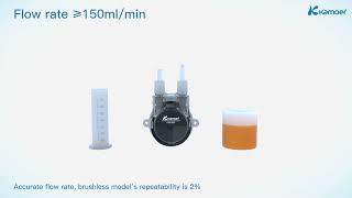 Kamoer KPK200 peristaltic pump provide cleaning solutions for washing dishes kamoer [upl. by Esiled]