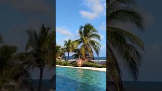 ✅ Hotel Hyatt Ziva Cancún Con LA MEJOR PLAYA y GASTRONOMÍA All Inclusive [upl. by Clive]