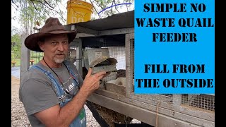 Raising Coturnix Quail for Meat and Eggs  The Best little DIY Quail Feeder  A little About Quail [upl. by Apostles]