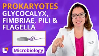 Prokaryotes Glycocalyx Fimbriae amp Pili amp Flagella  Microbiology for Health Fields  LevelUpRN [upl. by Fishbein]