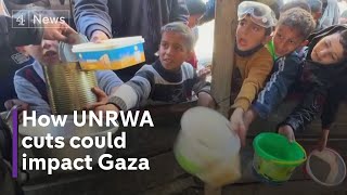 Israel’s evidence of UNRWA Hamas allegations examined [upl. by Ansilme]