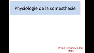 Neurophysiologie  Physiologie de la somesthesie FMPC [upl. by Oelak118]