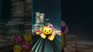 Cat Running shortvideo cat [upl. by Auqinahc974]