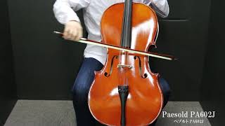 【楽器試奏動画】Roderich Paesold PA602J Cello [upl. by Lasko508]