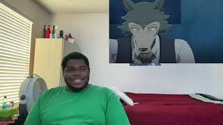 Beastars S1 in 8 Minutes TeamFourStar REACTION [upl. by Winograd]