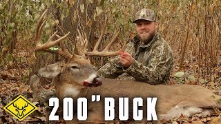 BRUTUS  200quot MEGA GIANT Pennsylvania Buck [upl. by Nathalia]