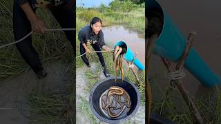 Survival Skills Build Simple and Useful Fish Tapping Systems survival useful shorts outdoors [upl. by Dredi451]