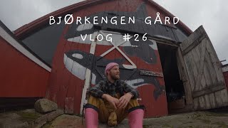 Vlog 26  Bjørkengen Gård  Bø i Vesterålen [upl. by Nylitsirk]