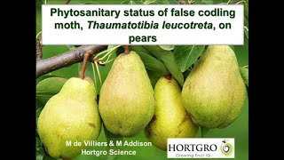 4 Phytosanitary status of false codling moth Thaumatotibia leucotreta Meyrick Lepidoptera Tortricid [upl. by Durward]