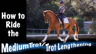 How to Ride the Medium Trot Trot Lengthening [upl. by Aiclef]