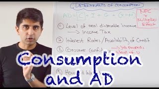 Y1 5 Consumer Spending and Aggregate Demand [upl. by Aggarwal260]