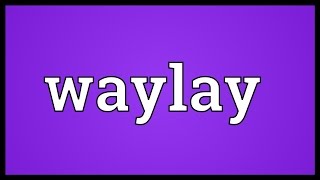 Waylay Meaning [upl. by Seyer]