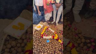 Indore Mandi aloo ka bhav 151124 viralshort mandibhav indoremandi viralshorts youtubeshorts [upl. by Annayram281]