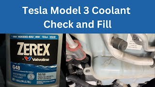 Tesla Model 3 Coolant Top Off  Super easy [upl. by Eillehs]