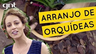 Como fazer um arranjo de orquídeas  Jardinagem  Carol Costa [upl. by Akirderf]