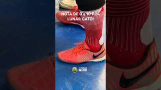 LUNAR GATO 🔥👟 [upl. by Dorita]