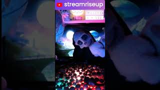 ASMR PawsibilitiesRelaxation with Adorable Puppy Cuddles💤 asmr puppylove shorts smallcreek [upl. by Jerrilee839]