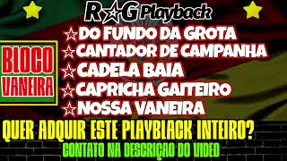 PlayBack  Do Fundo Da GrotaCantador de campanhaCadela BaiaCapricha GaiteiroNossa Vaneira [upl. by Anyahs787]