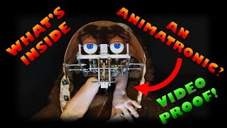 Whats REALLY going on inside an animatronic HOW does it work Halloween Special [upl. by Ailec]