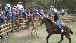 JARIPEO CHALINGO 2016 [upl. by Asha896]