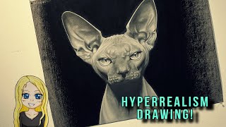 HYPERREALISM DRAWING  Charcoal Sphynx Cat [upl. by Tammara]