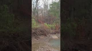 Would You Camp Here dispersedcamping camping ozarktrail ozarkmountains jeep4x4 jeep offroad [upl. by Samale778]