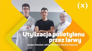 Utylizacja polietylenu przez larwy [upl. by Nanahs]