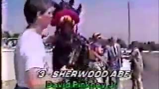 1988 Freehold Raceway SHERWOOD ABE Pfd Inv Track Record Dave Pinkney Jr [upl. by Lleira]