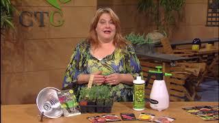 Start Tomatoes from Seed  Molly Pikarsky  Central Texas Gardener [upl. by Howlan780]