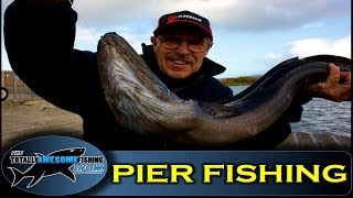 Pier fishing tips Part 2  How to catch Conger Eels from a pier  Totally Awesome Fishing Show [upl. by Kalasky]