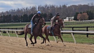 Yearlings 23 Last Love rail and Secret Notion galloping on 1115 [upl. by Maggy]