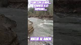 FLUIR CON LA VIDA💜VOLVER AL AMOR amor [upl. by Sinnal553]