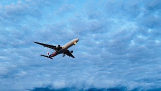 Plane Spotting from Melbourne Tullamarine Airport MELYMML [upl. by Anialam]