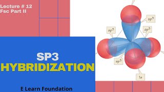 Sp3 Hybridization  lecture 12  chapter 7  fsc part II  E Learn foundation [upl. by Kannav]