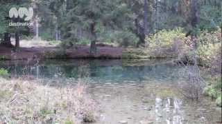 National Park of Tatra  Slovakia [upl. by Eilssel810]