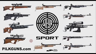 All Steyr Sports PCP Rifles 19 GUNS Full Steyr PCP LineUp Explained [upl. by Cutter603]