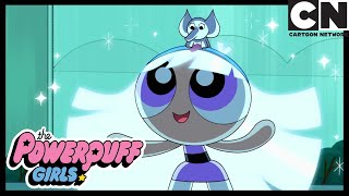 Powerpuff Girls  Bliss Powers  Cartoon Network [upl. by Amiarom]