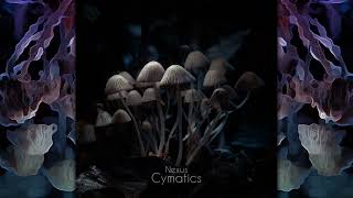 NEXUS  Cymatics Full Album [upl. by Xerxes88]