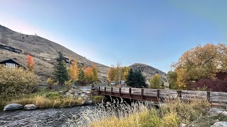 City Tour Wyoming  4k Walking Tour of Jackson city  Grand Teton National Park [upl. by Rudelson638]