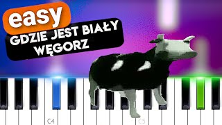 tylko jedno w glowie mam  Cypis  Gdzie jest biały węgorz EASY PIANO TUTORIAL [upl. by Eenahc]