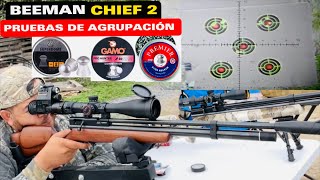 BEEMAN CHIEF 2 presión con diferentes diabolos  pellet  airgun pcp airgunshooting beeman [upl. by Rafaelia]