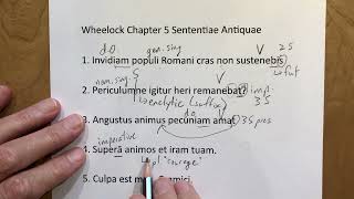 Wheelock 5 Sententiae Antiquae [upl. by Onaireves197]