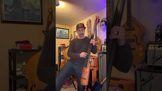 Crazy Double Bass doublebass bass fun instrumental electronic funk rock music shorts [upl. by Arelus]