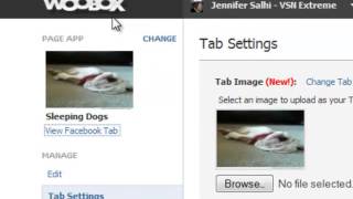 WooBox Facebook Apps Installs Easy and its Free [upl. by Dailey]